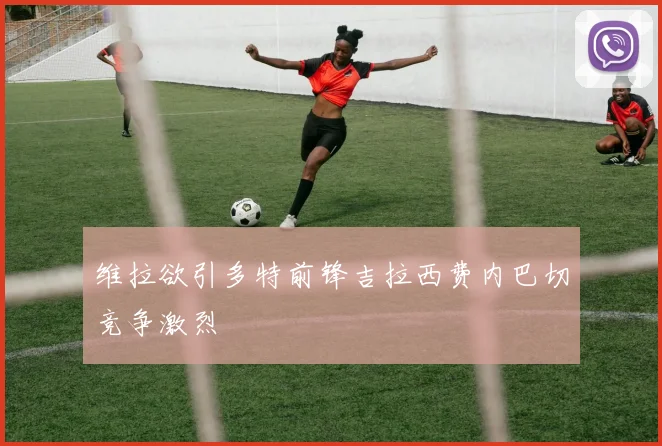 维拉欲引多特前锋吉拉西费内巴切竞争激烈