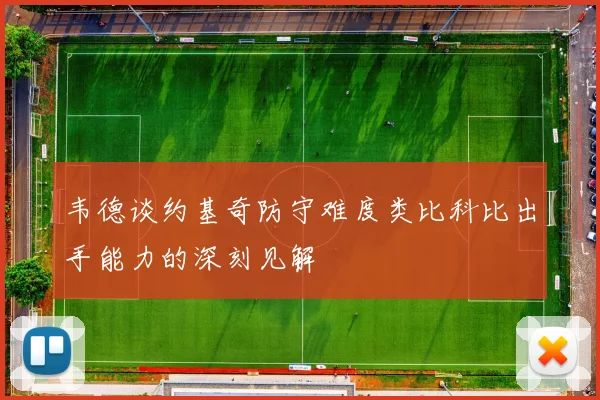 韦德谈约基奇防守难度类比科比出手能力的深刻见解